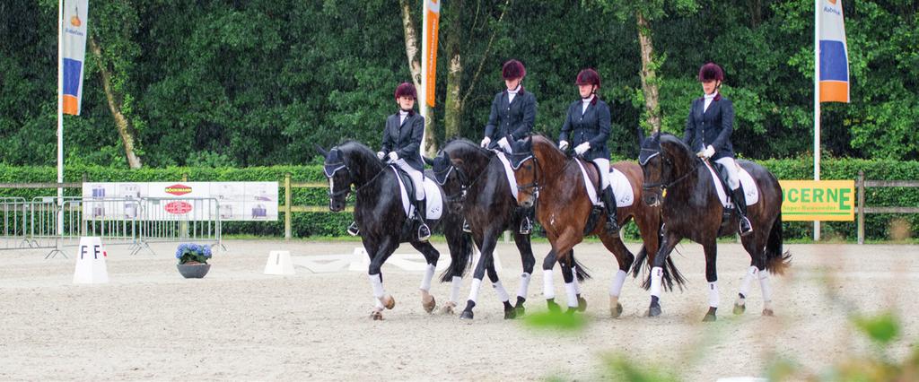 Uitdaging sportclub kwaliteit accommodatie is niet toereikend De accommodatie voldoet niet meer volledig aan de wensen van de gebruikers. De voorzieningen zijn verouderd.