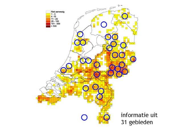 Impressie steenuilonderzoek in Nederland 2006 Pascal Stroeken Inleiding Jaarlijks wordt er in Nederland veel veldwerk verricht aan de Steenuil.