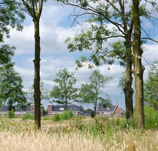 En door de aanwezigheid van oude, karakteristieke bomen en bestaand groen die de jaren 30-stijl van Berckelbosch nog eens extra benadrukken. Deze nieuwe wijk wordt ontwikkeld in deelplannen.