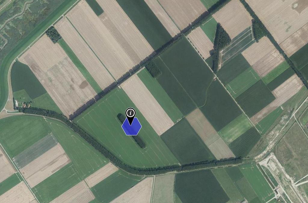 122 Westerschelde-Saeftinghe PAS-gebiedsanalyse Op de kaarten 4-6 is op één plaats een hogere waarde aangegeven. Uit de luchtfoto blijkt dat hier een houtwal aanwezig is.