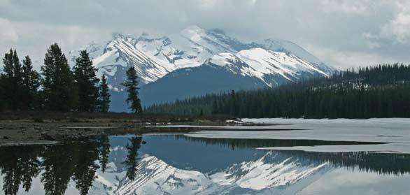 Sindsdien heeft Nature Trek Canada al ruim 220 begeleide natuurreizen uitgevoerd en 480 individuele reizen samengesteld.