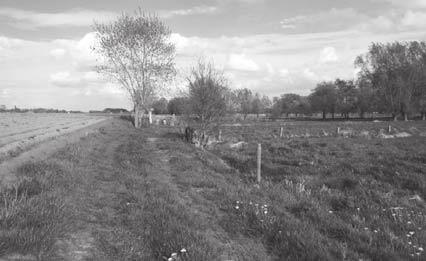 Moeraskalk en veen bepalen de natuurwaarden in de Moervaartdepressie. Soortenrijke dotterbloemhooilanden, bloemrijke ruigtes, moerassen en broekbosjes wisselen er elkaar af.