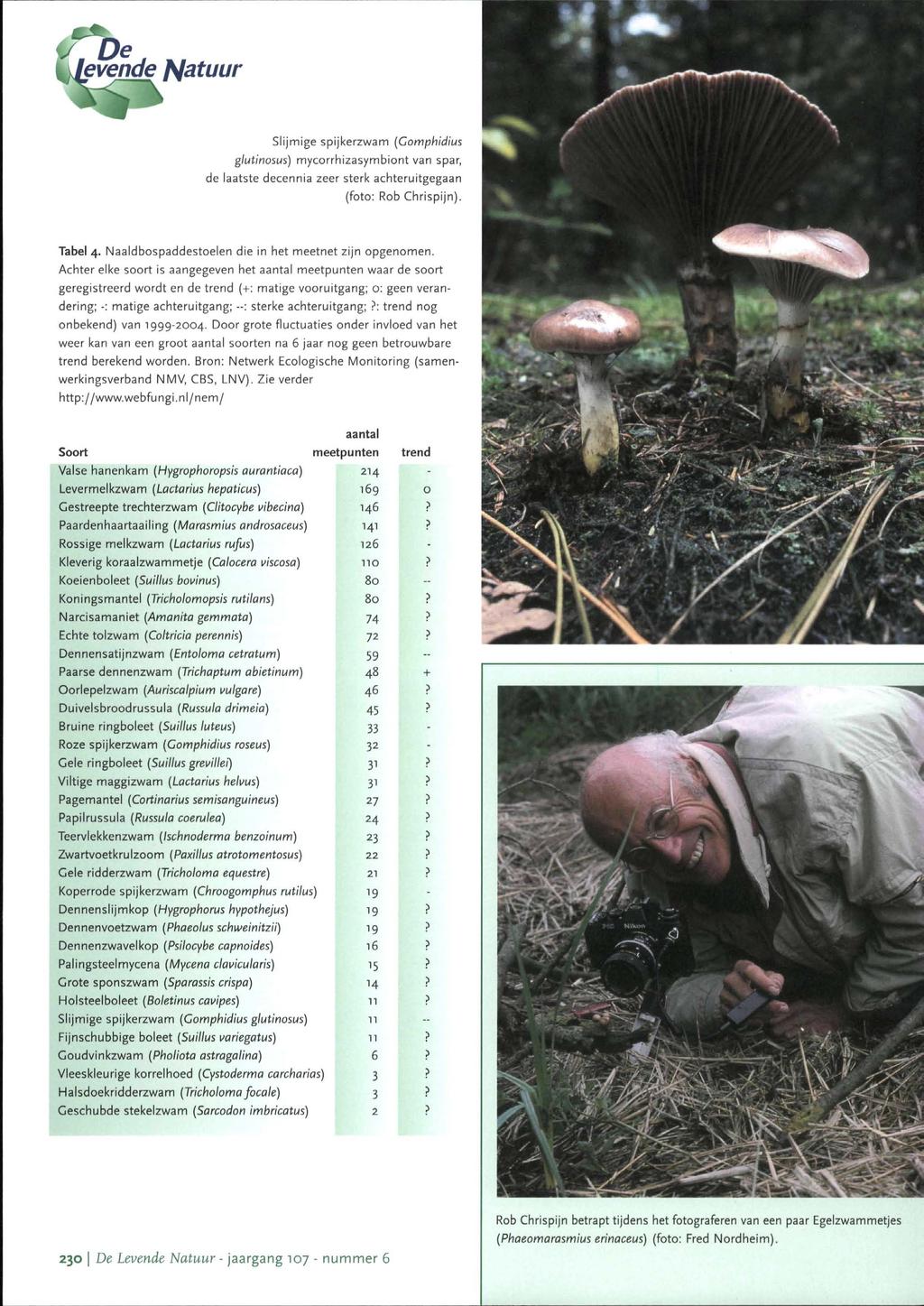 fevende J^atuur Slijmige spijkerzwam (Comphidius glutinosus) mycorrhizasymbiont van spar, de laatste decennia zeer sterk achteruitgegaan (foto; Rob Chrispijn). Tabel 4.