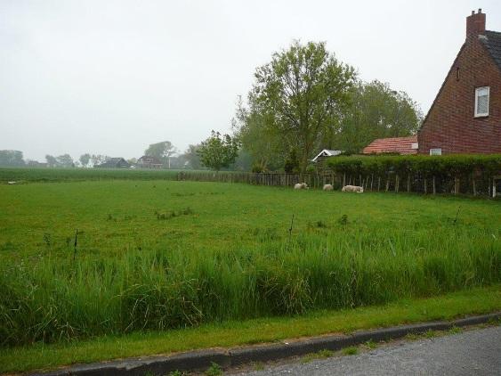 Dit terrein moet opgeruimd, deels gesloopt, netjes gemaakt en het liefst ontwikkeld worden.