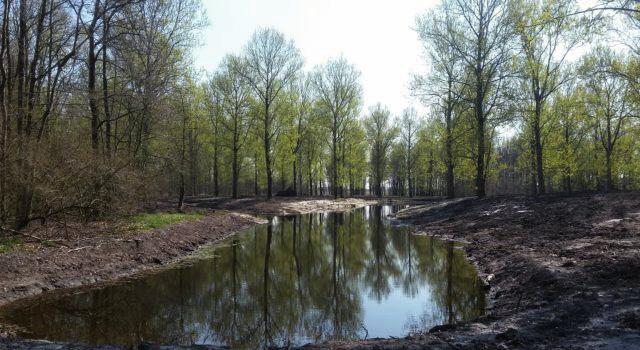 Nieuwe Natuur Flevoland Met het programma Nieuwe Natuur bevordert de provincie Flevoland de natuurontwikkeling in de provincie.