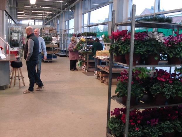 groothandelsmarkt in Helsinki zijn 4 bloemen en planten