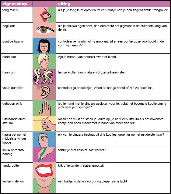 Werkblad 1 Unieke eigenschappen Eigenschap Tong rollen Uitleg Als je je tong kunt oprollen tot een buisje ben je een zogenaamde tongroller Oogkleur Puntige haarlijn Haarkleur Als je blauwe ogen hebt,