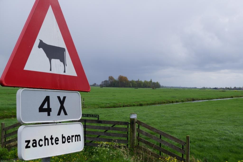 Voorbeeld 1: Ronde Venen (U): boerenpolder Norm Waterschap Amstel, Gooi en Vecht: 0,88 mg