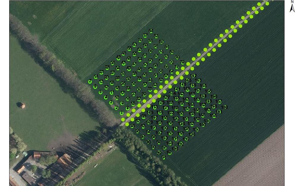 Detailplan van de boomgaard, zoals opgesteld door Regionaal Landschap Houtland.