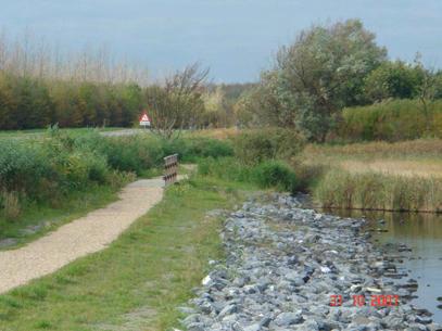 ruilverkavelingsbos en het bestaande