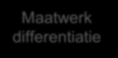 Maatwerk