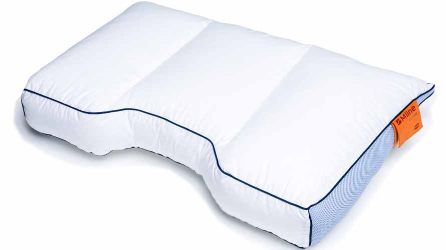 Pillow 1 M line Energy Pillow 1 en 2 In de Energy Pillow zitten