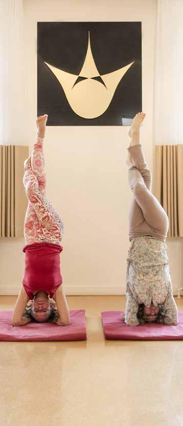 Yogadocent zijn Na afronding van de opleiding ben je Saswitha Yogadocent en ben je in staat om zelfstandig les te geven aan algemene groepen en aan specifieke doelgroepen.