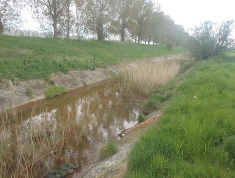 1: Zoutebeek dieper maken De Zoutebeek ruimen,