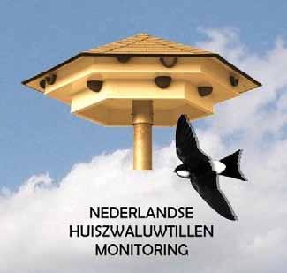 com) in samenwerking met Jip Louwe Kooijmans (Vogelbescherming Nederland). Keldonk, zelf ontworpen en gemaakte til in nieuwbouwwijk, met natuurlijk noknest op achtergrond.