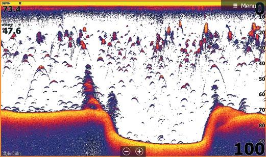 StructureScan 3D StructureScan 3D wordt aangedreven door een multibeam sonartechnologie waarmee u belangrijke visgebieden sneller dan ooit kunt vinden door scans van onderwatergebieden en
