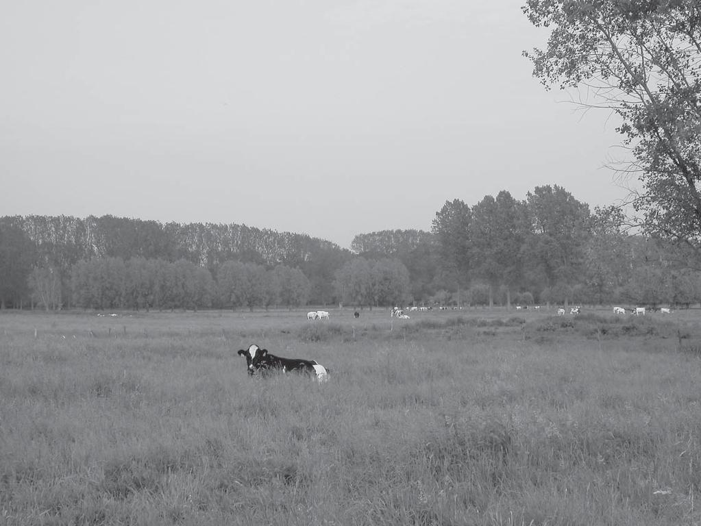 Vinderhoutse bossen noordoosten). Natuurpunt Gent wil alvast zijn volle steun geven aan de stad en het Vlaamse Gewest voor de ontwikkeling van die vier groenpolen.