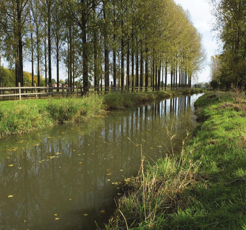 Vlaanderen is milieu Medicijnen in de waterketen Resultaten verkennend
