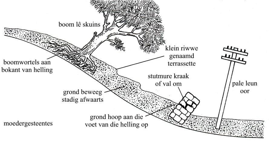 TAAK 4. MASSABEWEGINGS EN MENSLIKE REAKSIES. 1. Wat is massabewegings? 2. Noem DRIE faktore wat ŉ rol speel of die massabeweging skielik of geleidelik gaan plaasvind. 3.