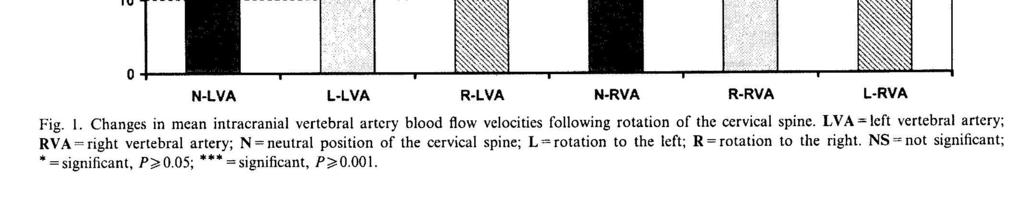 vertebral artery