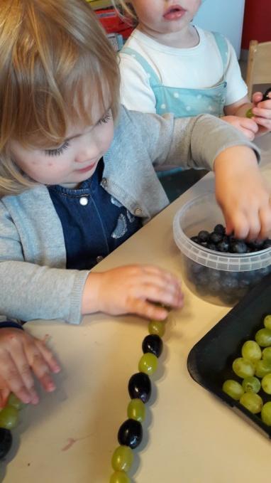 Met de druiven maakten we fruitspiesjes en