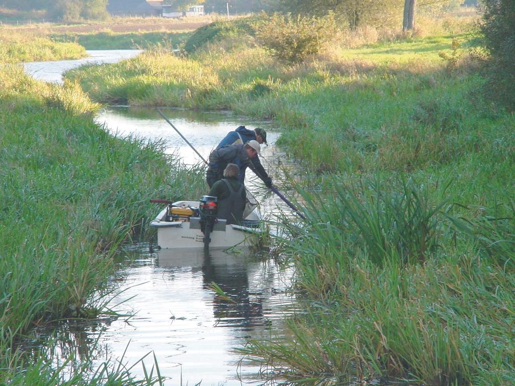 Vissen in het beheersgebied van Waterschap Aa en