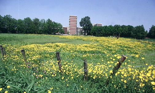 Om het beheer voor een breed lezerspubliek inzichtelijk te maken zal er in hoofdstuk 3 worden ingegaan op achtergronden van het beheer met een breed scala van beheermogelijkheden.