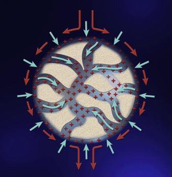 Figuur 1b: Schematische weergave van een bolletje met poriën De adsorptie van eiwitten aan bolletjes (C) t.o.v. vloeistof (c) is afhankelijk van de sterkte van de interacties, deze kunnen zowel zwakke als sterke adsorptie vertonen (Figuur 2).