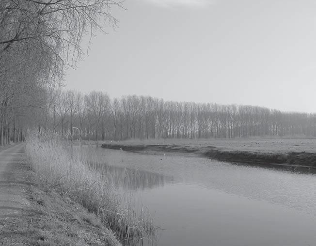 De Moervaart Het eilandje: open ruimte voorgoed verkwanseld Er is veel werk verzet. De betrokken ambtenaren van de Dienst Stedenbouw en Ruimtelijke Ordening verdienen een pluim.