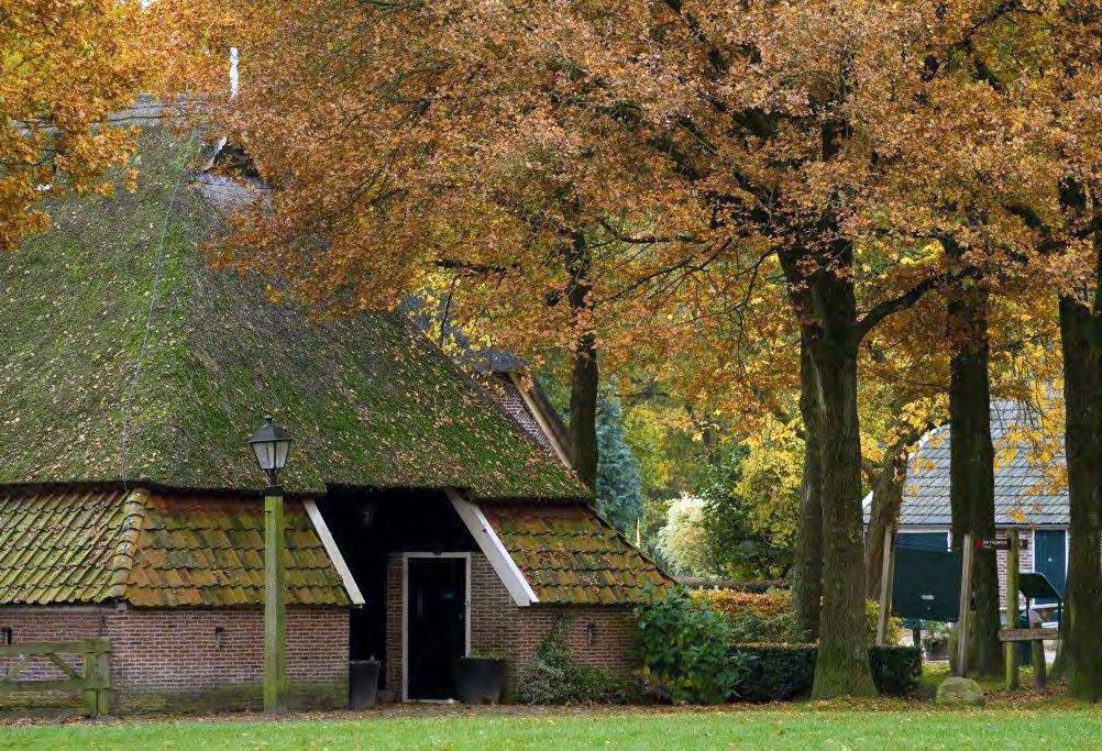 Een eindje om met Het Drentse Landschap Wandelroute Orvelte en