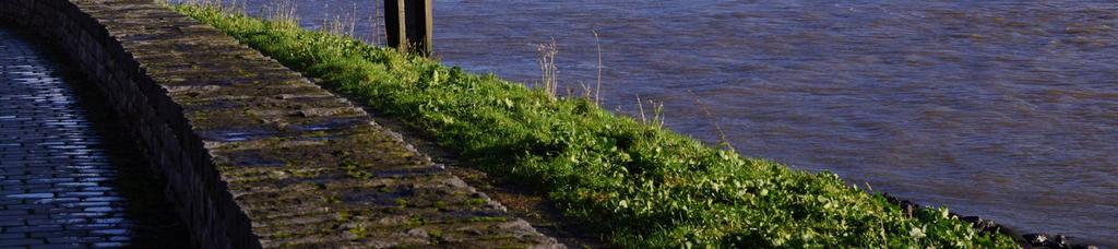 Maar ook natuurliefhebbers die de biodiversiteit willen beschermen en de waterkwaliteit opwaarderen en recreanten die in hun eigen