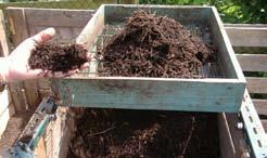 Enkele maanden nadat u uw compostbak hebt opgestart, en verder in de tijd, naarmate u de compostbak aanvult, zult u steeds over jonge compost en rijpe compost kunnen beschikken.