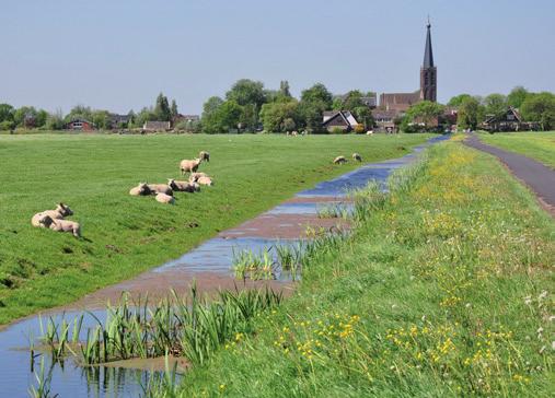 van fraaie natuurgebieden en de Vliet. Veel diversiteit aan woningen en de komende jaren worden nog diverse nieuwbouw projecten gerealiseerd.