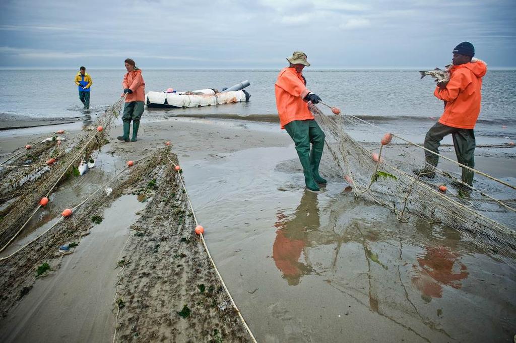 Foto 4.1. Staandwantvisserij. (Foto Fokke van Saane) Recreatie De Waddenzee is een belangrijk gebied voor toeristen en recreanten.