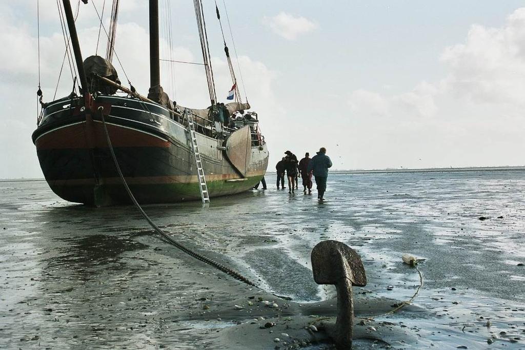 Geregeld laten recreanten hun boot op de platen droogvallen vooral ten zuiden van de eilanden Vlieland, Terschelling en Schiermonnikoog.