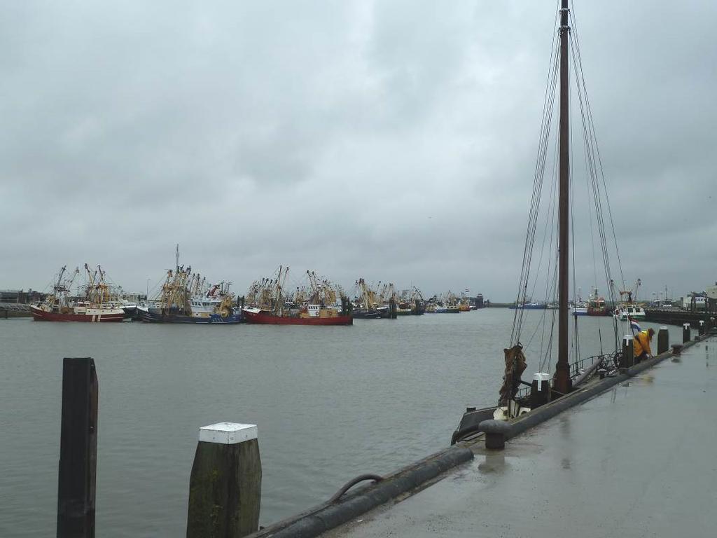 toekomst gebieden worden gesloten waar vanuit historisch perspectief mosselbanken zijn te verwachten.