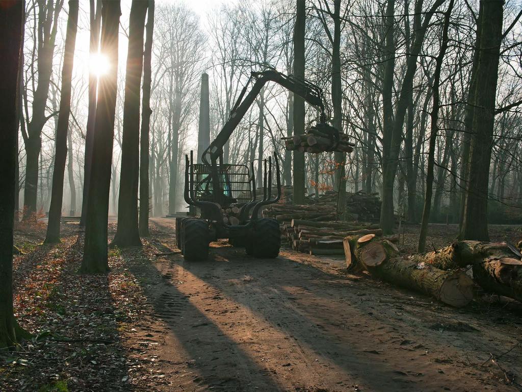 regelgeving deelstromen die niet onder het verbrandingsverbod vallen & energetisch mogen worden gevaloriseerd: snoeihout met een diameter > 10 cm; houtige stromen die niet onder de afvalregelgeving