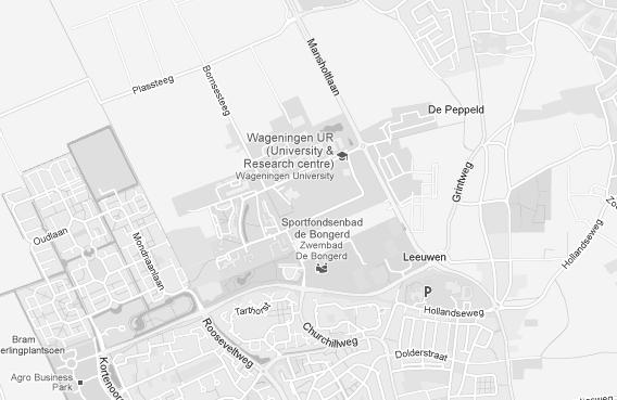 Variant Langs de maaiveld Nieuwe verbinding tussen kruispunt Mansholtlaan/Kielekamp steeg/kierkamperweg en Mondriaanlaan nabij Rooseveltweg/Nijenoord Allee.