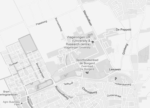 Variant Ruggengraat 2.0 Nieuwe verbinding 2x1 50 km/uur tussen Nijenoord Allee en Mansholtlaan aan de zuidrand van de met: Hoevestein aansluiten op Nijenoord Allee.