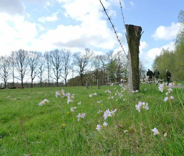 Waar aan glans haverhooilanden verwante graslanden van type 1 worden ontwikkeld op de Pleistocene zandgronden, daar kan de bodem als gevolg van voortdurend maaien en afvoeren te schraal en te zuur