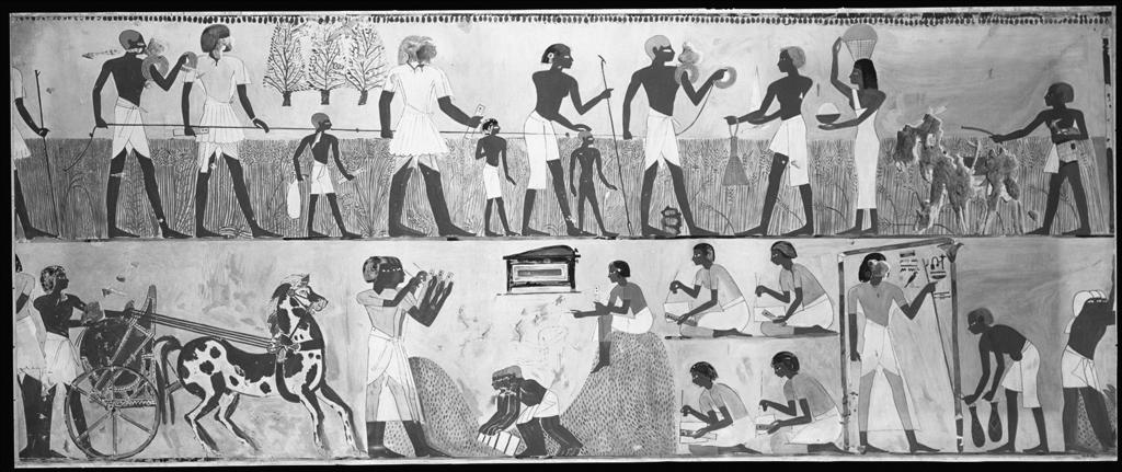 Prehistorie en oudheid bron 1 Detail van een muurschildering uit het graf van Menna, een hoge Egyptische ambtenaar uit de 14 e eeuw voor Christus: Toelichting: Afgebeeld zijn boeren die