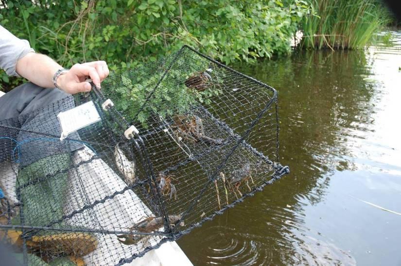 - Uitvoering van het