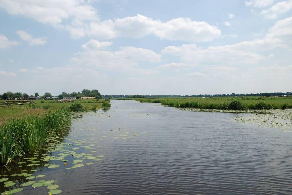 - Oriënterend onderzoek exotische rivierkreeften Wilnisse Bovenlanden - 2 Gebiedsbeschrijving In overleg met de HSV Wilnis is gekozen om een bemonstering uit te voeren in de Veldwetering in de
