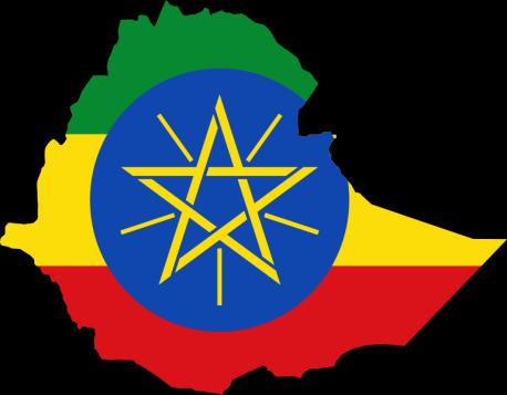Voorbeeld 1: Transactie naar Ethiopië Ethiopian Birr tegen