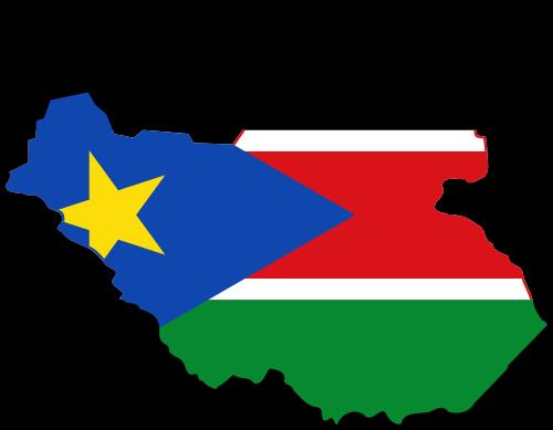 Voorbeeld 3: Transactie naar Zuid-Soedan South Sudanese