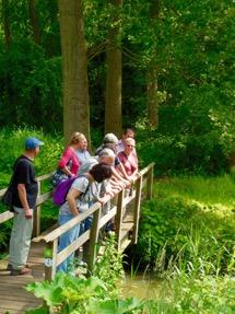 We lopen in de schaduw van loofbomen, stoppen ter hoogte van kijkwanden en volgen enkele knuppelpaden om uiteindelijk aan de Schelde te komen.