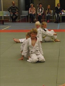 Beste ouders en verzorgers, Met ingang van het nieuwe schooljaar geeft Tori in Burgum judolessen voor kinderen van 4 en 5 jaar. Nieuwe aanmeldingen voor kleuterjudo zijn nu mogelijk.