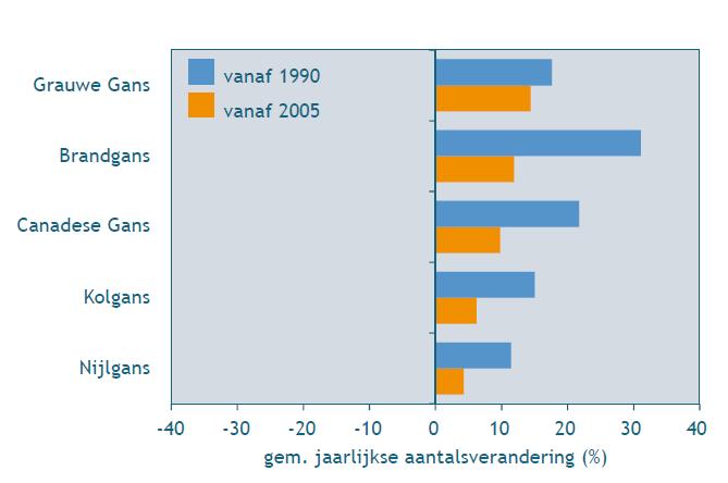 Zomerganzen -