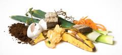 RESTAFVAL GFT Niet-recycleerbaar afval Etensresten, bladeren, takjes, gras, bloemen,