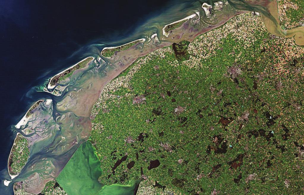 a: Overzicht hoofdzones vegetatie in testgebied; b: Hoogtelijnen en vegetatiezones in NoordFriesland Buitendijks; c: Hoogtelijnen en vegetatiezones na inzoomen; d: